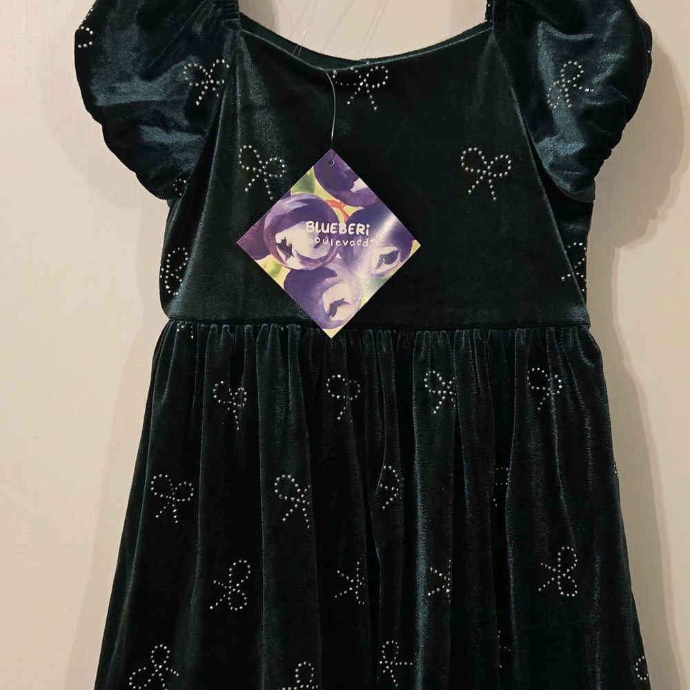 Blueberi Boulevard Green Velvet Dress with Bow Details